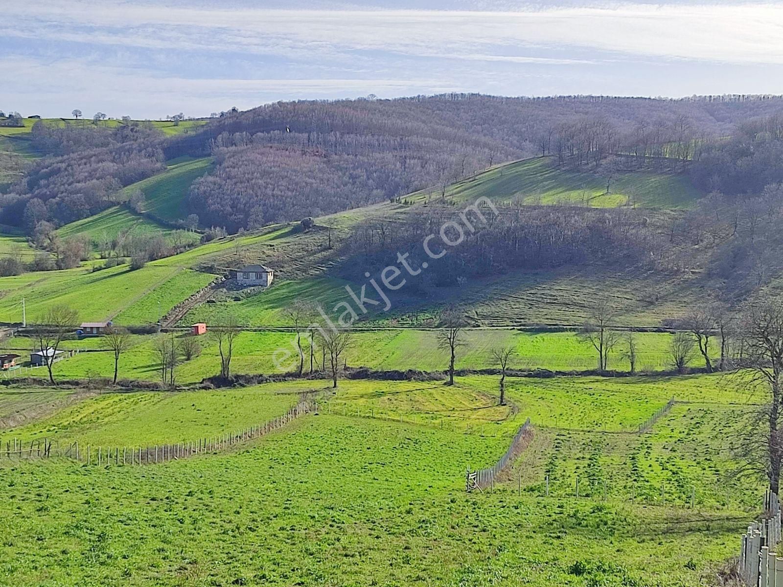 Tarcanlar'dan İzmit Kaynarca'da 2.338 M² Kupon Fırsat Tarla. - Görsel 20