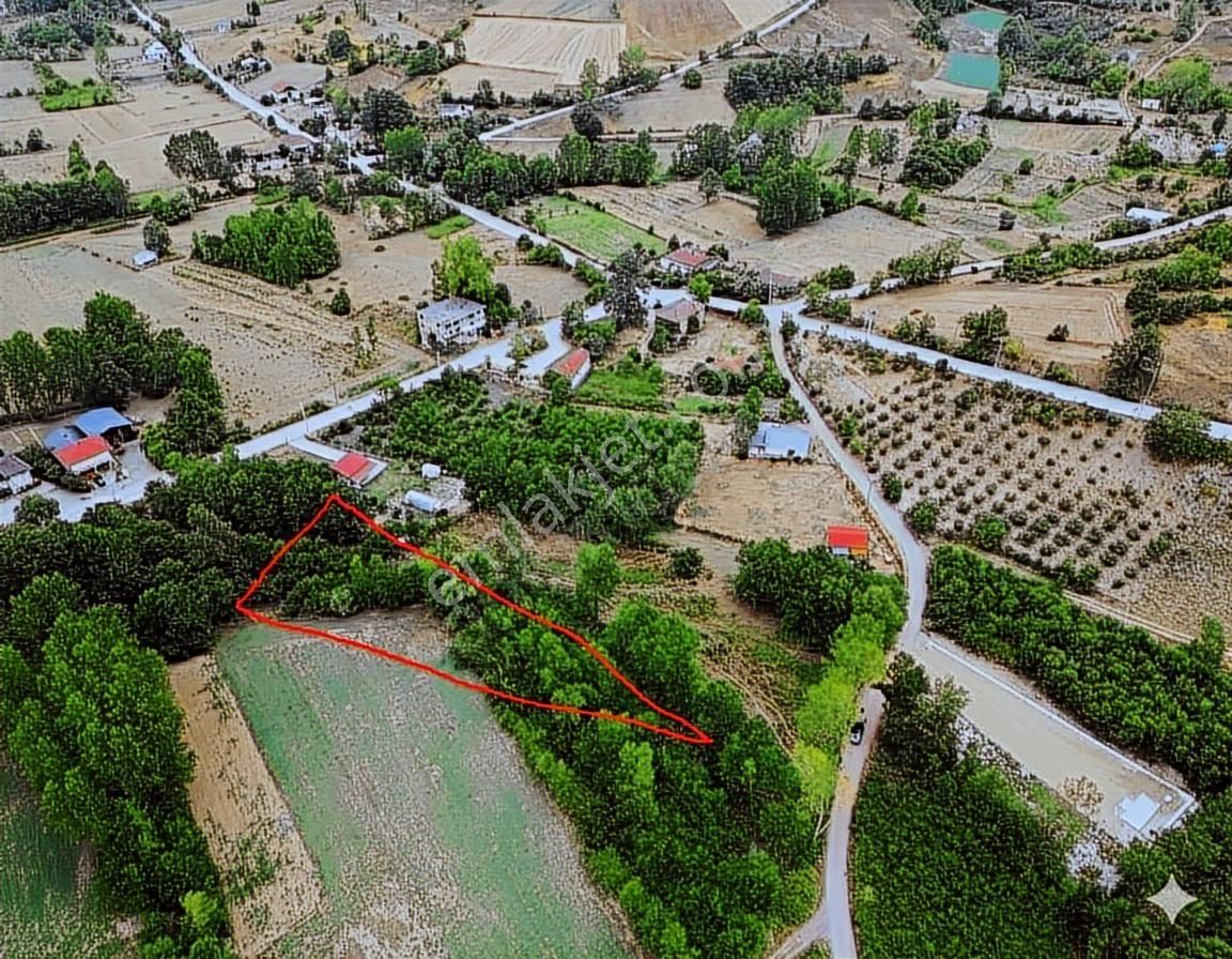 Tarcanlar'dan Kandıra Elmacık Köyün Dibi 844 M² Tarla Satılık - Görsel 22