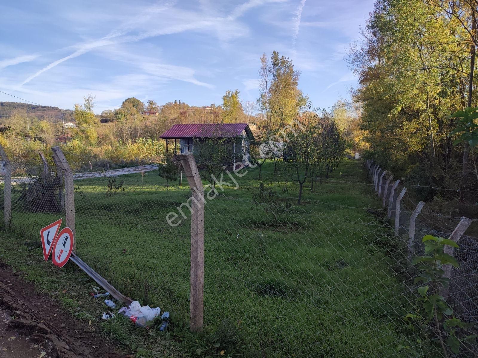 Tarcanlar'dan Kandıra Elmacık Köyün Dibi 844 M² Tarla Satılık - Görsel 21