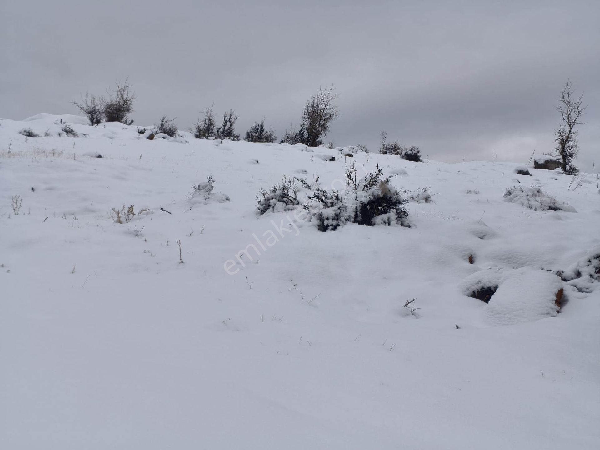 Kar Emlak Tan Yeni Konacık Bozkırlı Mevkiinde Yaylalık 400 - Görsel 11