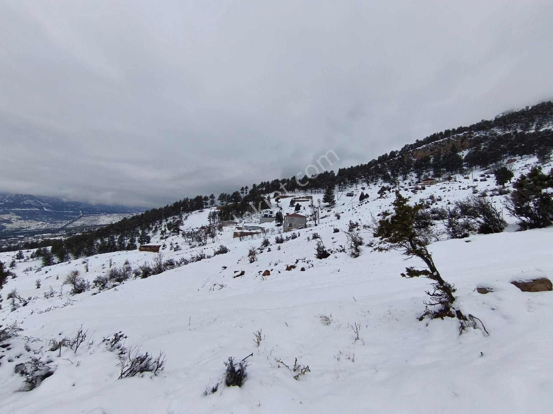 Kar Emlak Tan Yeni Konacık Bozkırlı Mevkiinde Yaylalık 400 - Görsel 8