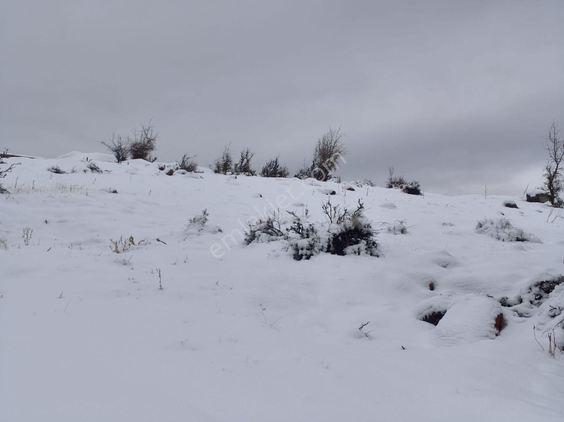 Kar Emlak Tan Yeni Konacık Bozkırlı Mevkiinde Yaylalık 400 - Görsel 18