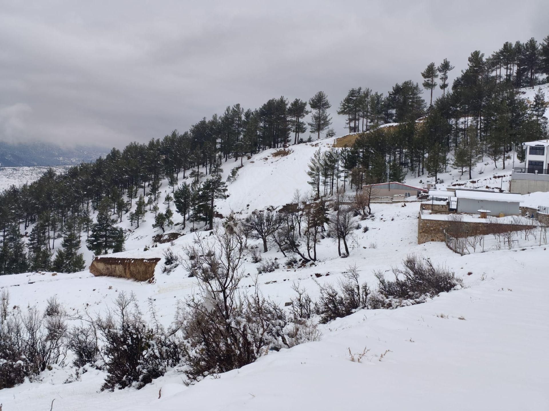 Kar Emlak Tan Yeni Konacık Bozkırlı Mevkiinde Yaylalık 400 - Görsel 23