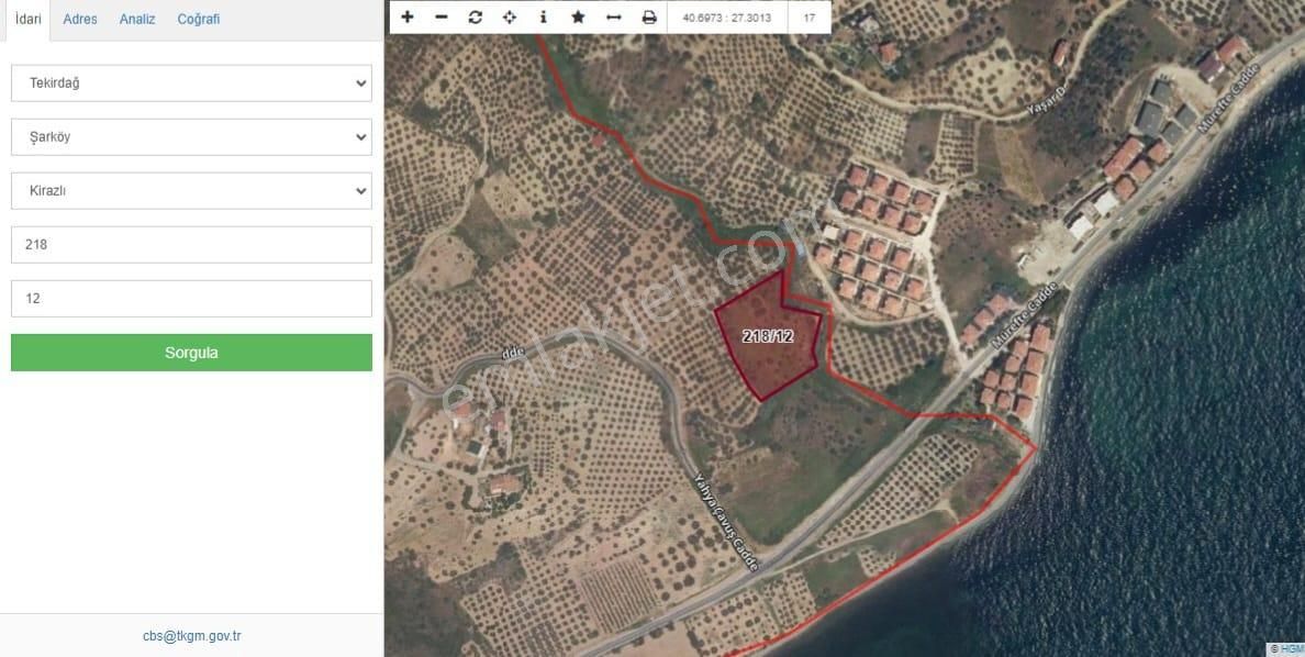 Şarköy-kirazlı'da 5300m2 Denize Cephe,imara Cephe Zeytinlik
