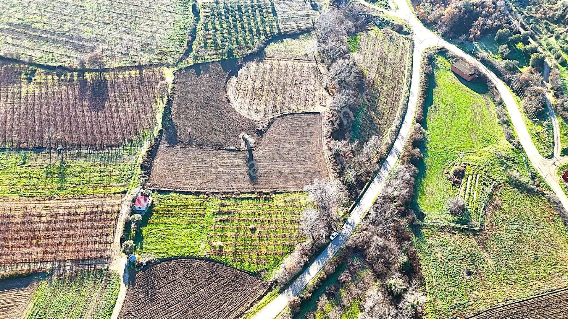 Çanakkale Merkez Musaköyde Asfalta Cephe,1.350 M² Satılık Tarla - Görsel 5