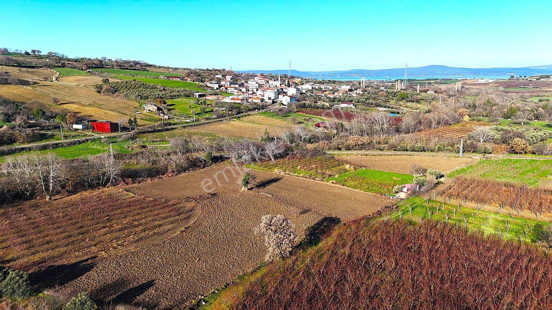 Çanakkale Merkez Musaköyde Asfalta Cephe,1.350 M² Satılık Tarla - Görsel 9