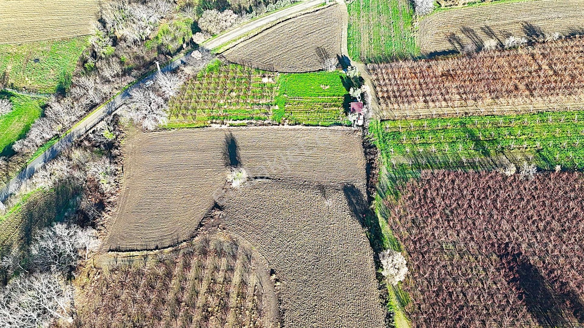 Çanakkale Merkez Musaköyde Asfalta Cephe,1.350 M² Satılık Tarla - Görsel 3
