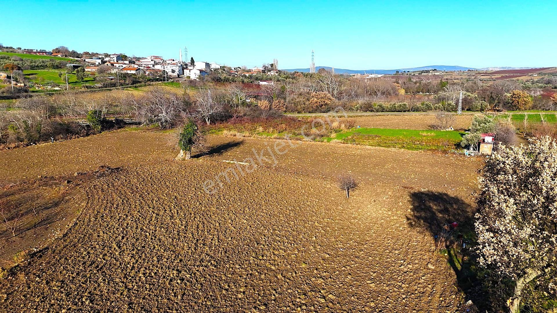 Çanakkale Merkez Musaköyde Asfalta Cephe,1.350 M² Satılık Tarla - Görsel 18