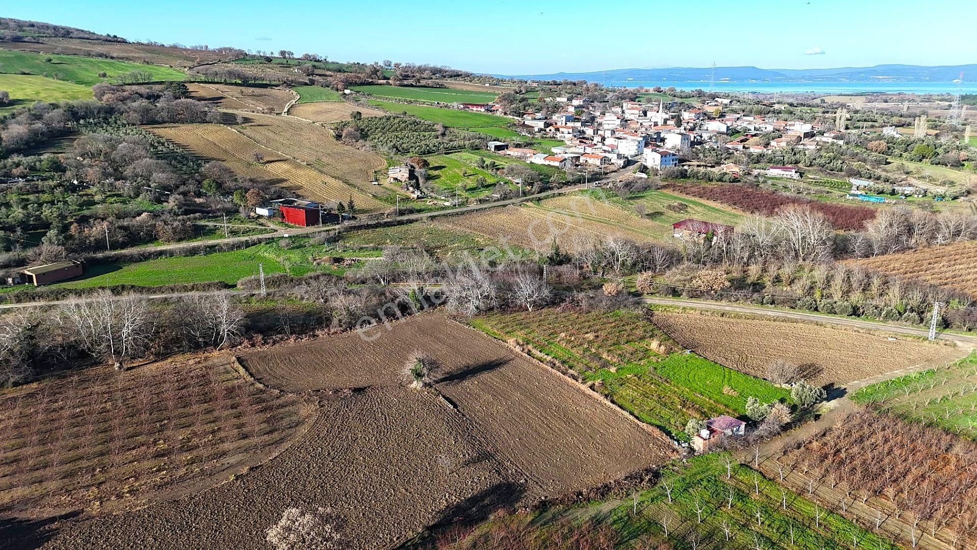 Çanakkale Merkez Musaköyde Asfalta Cephe,1.350 M² Satılık Tarla - Görsel 16