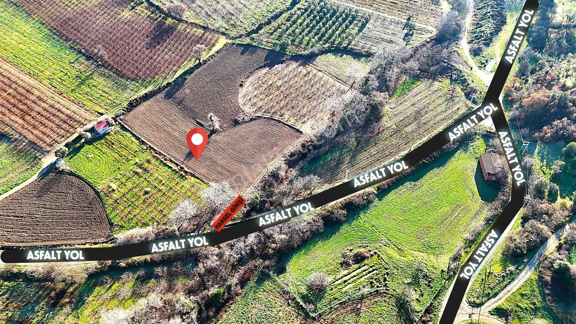 Çanakkale Merkez Musaköyde Asfalta Cephe,1.350 M² Satılık Tarla - Görsel 4