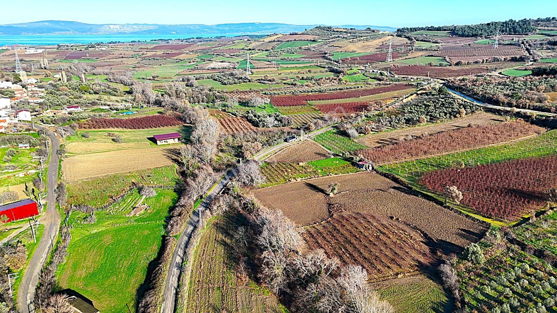 Çanakkale Merkez Musaköyde Asfalta Cephe,1.350 M² Satılık Tarla - Görsel 15