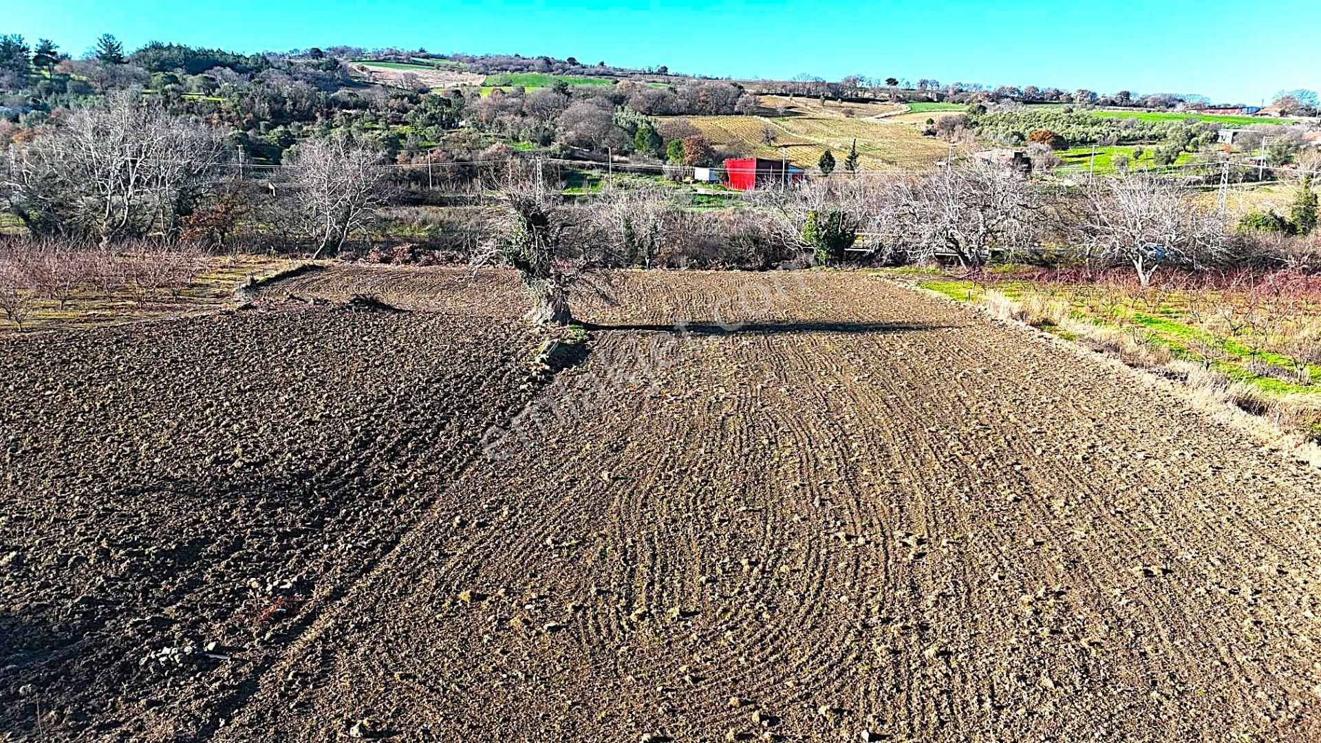 Çanakkale Merkez Musaköyde Asfalta Cephe,1.350 M² Satılık Tarla - Görsel 21