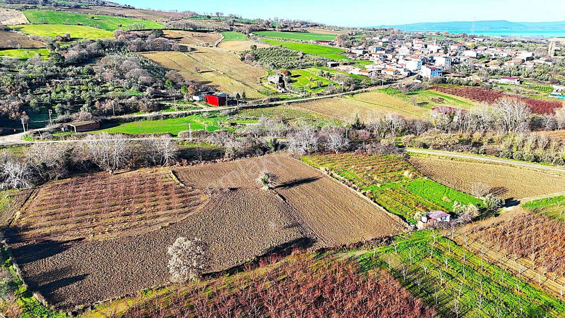 Çanakkale Merkez Musaköyde Asfalta Cephe,1.350 M² Satılık Tarla - Görsel 14