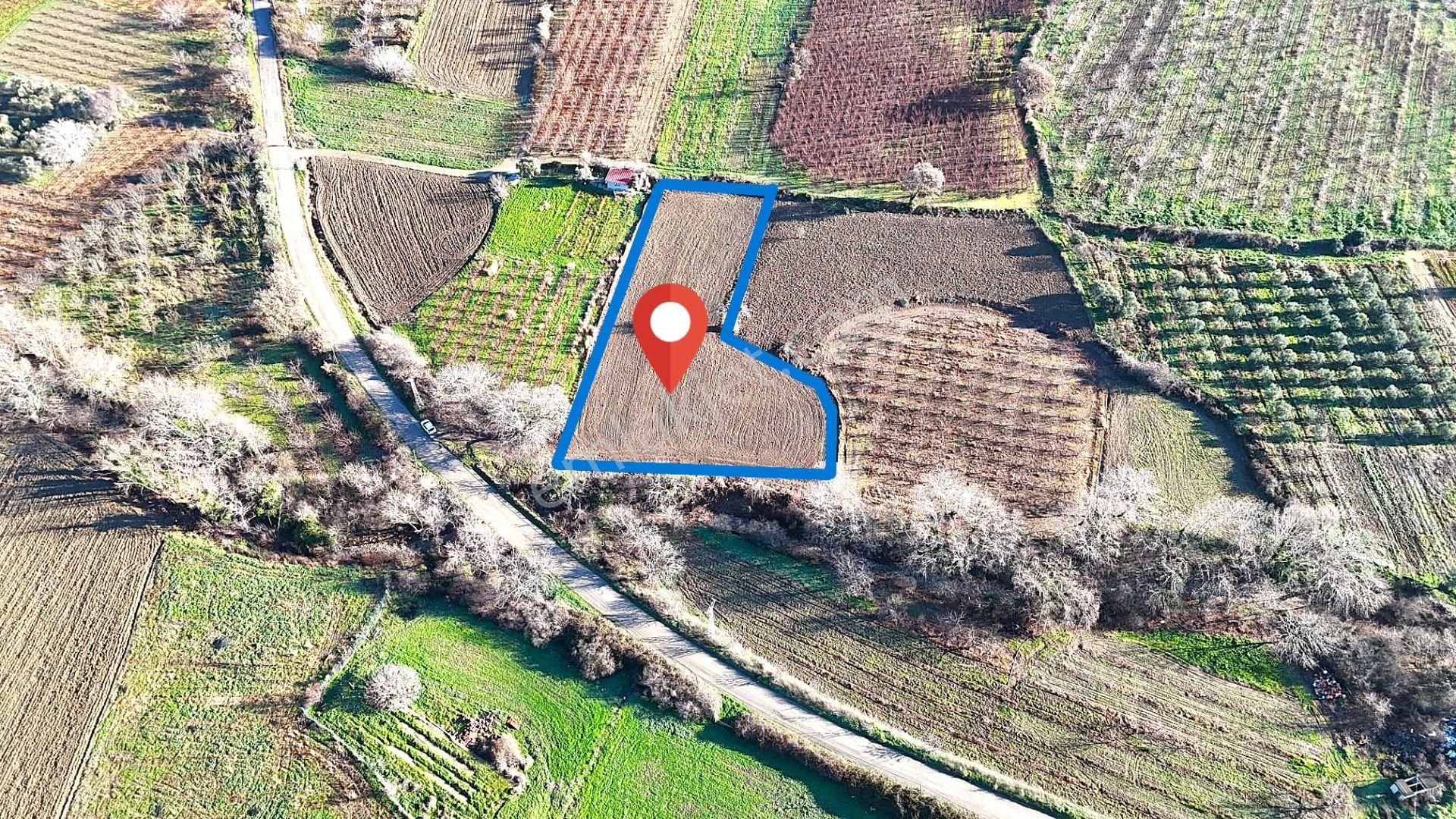 Çanakkale Merkez Musaköyde Asfalta Cephe,1.350 M² Satılık Tarla