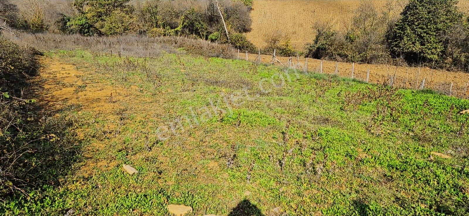 İzmit Nebihoca Resmi Yolu Ve Yapı Ruhsatları Alınmış Arsa - Görsel 8