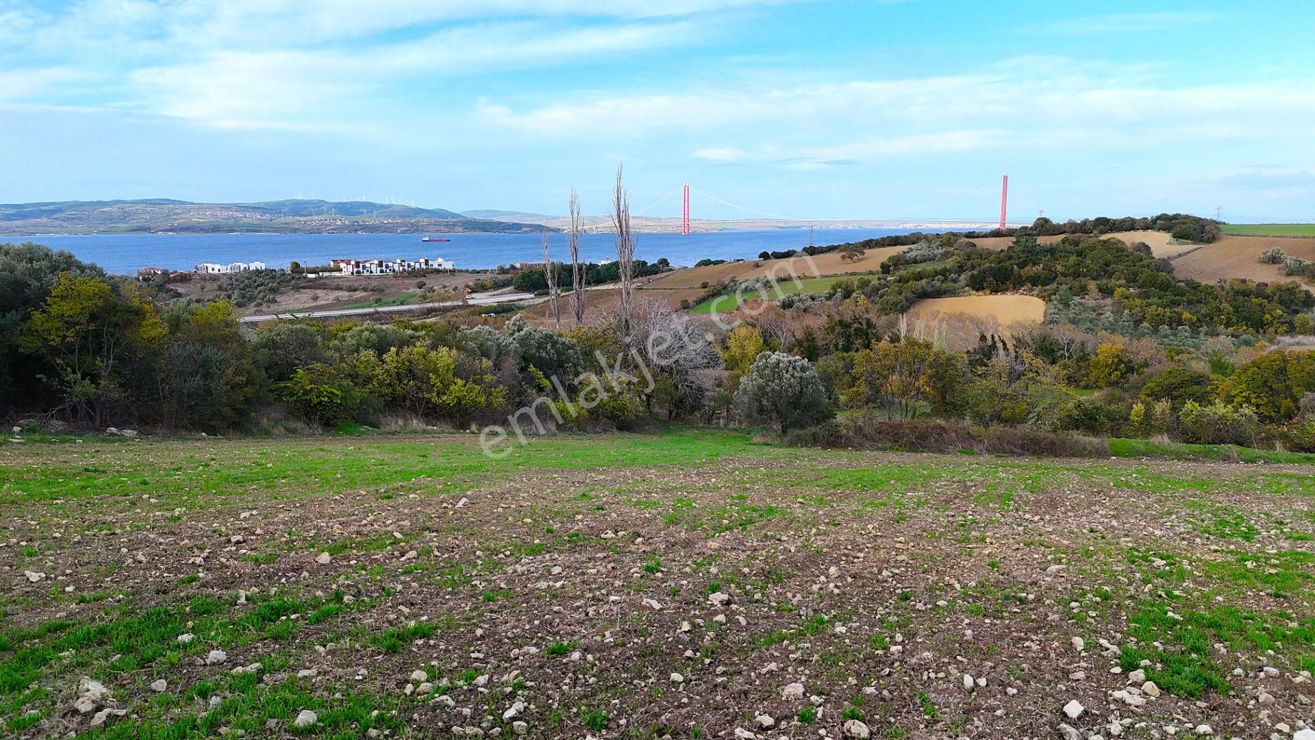 Çanakkale,lapseki,sulucada,1915 Köprü Manzaralı, Satılık Tarla - Görsel 27