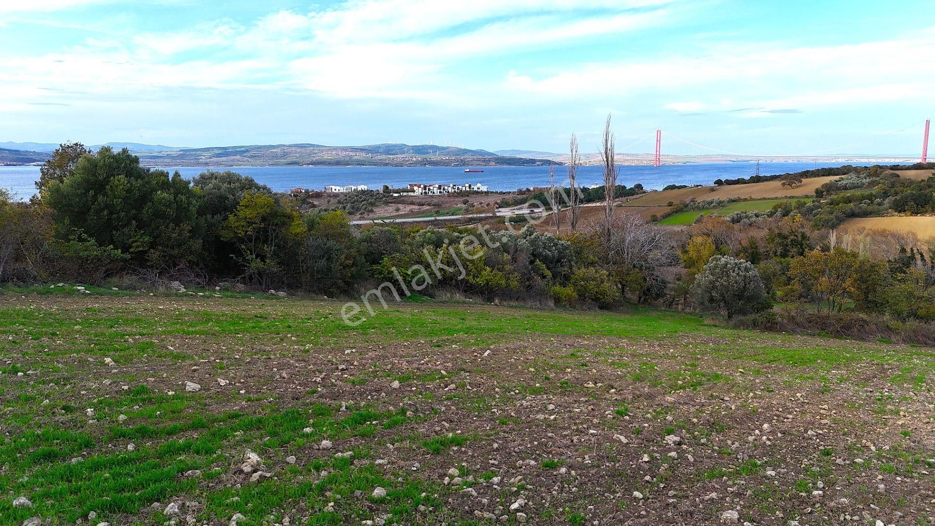 Çanakkale,lapseki,sulucada,1915 Köprü Manzaralı, Satılık Tarla - Görsel 26
