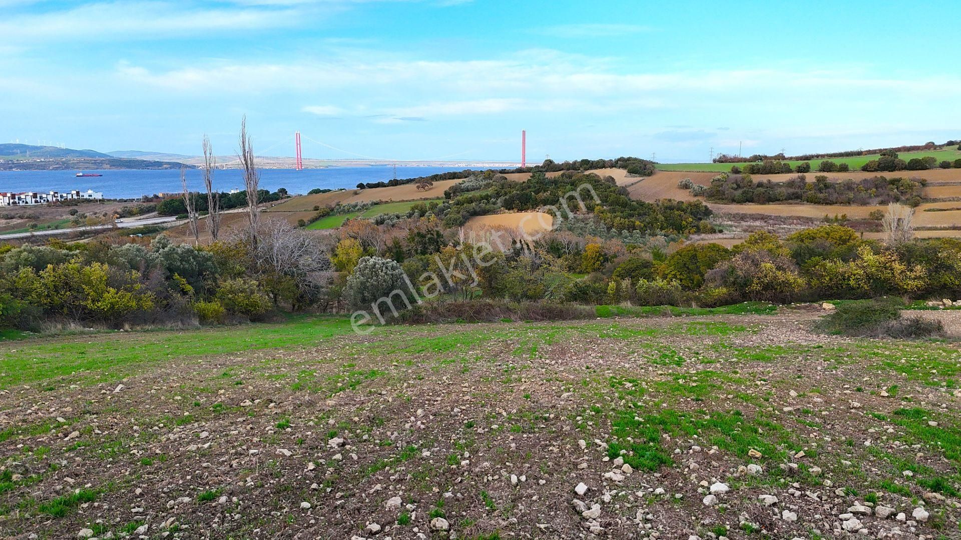 Çanakkale,lapseki,sulucada,1915 Köprü Manzaralı, Satılık Tarla - Görsel 28