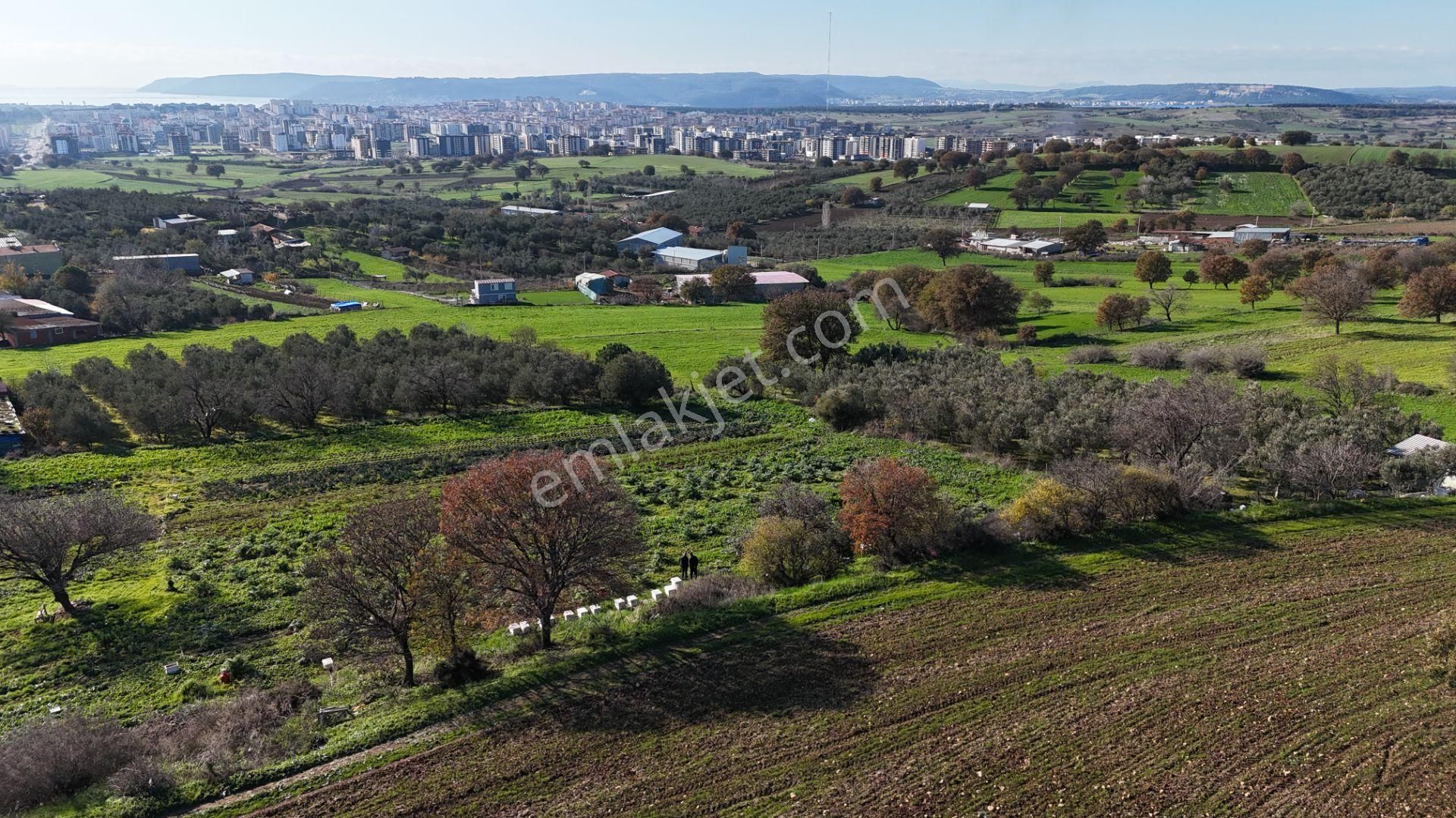 Çanakkale Karacaörende Boğaz & Deniz Manzaralı Satılık Tarla - Görsel 6