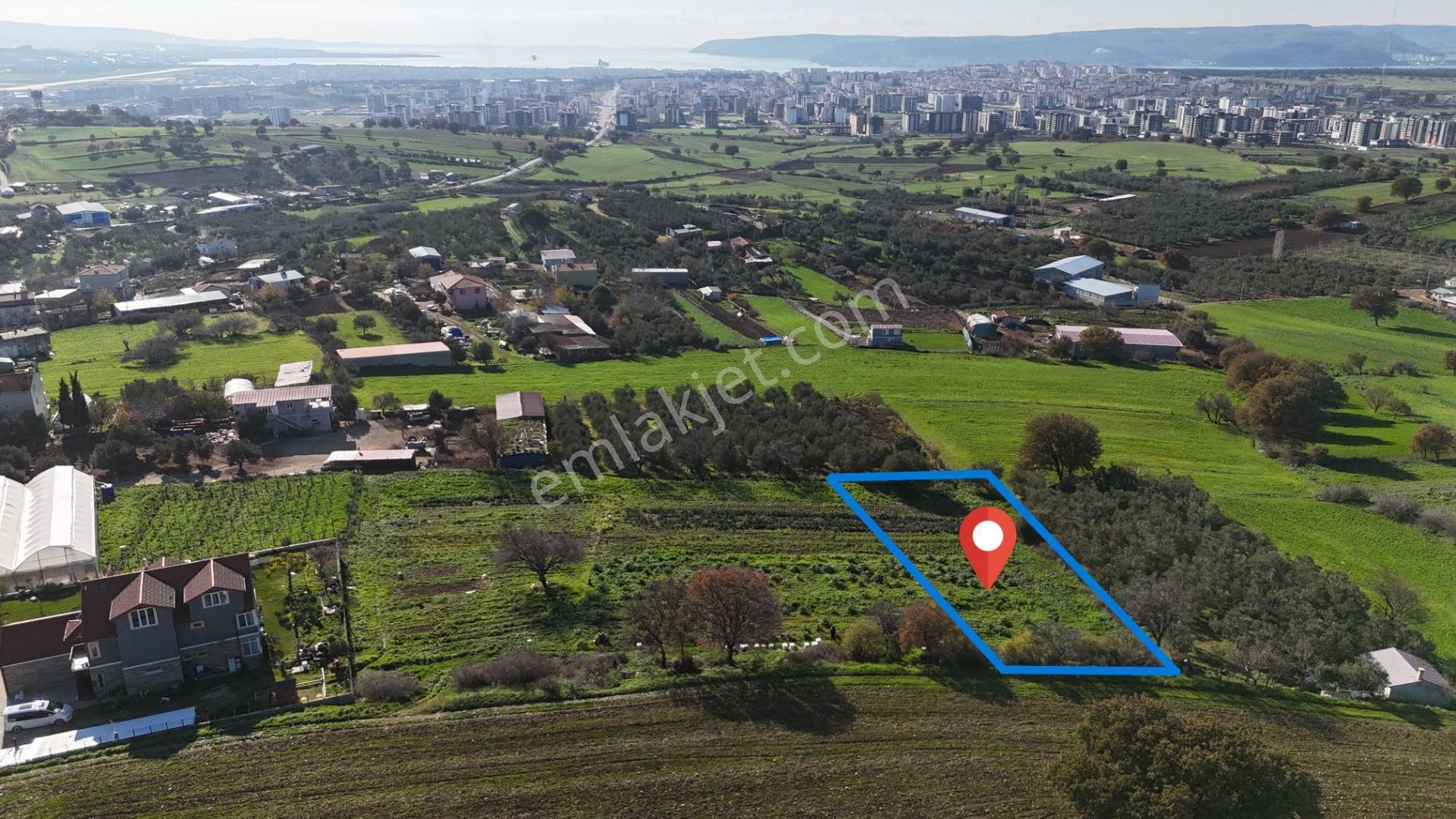 Çanakkale Karacaörende Boğaz & Deniz Manzaralı Satılık Tarla - Görsel 14