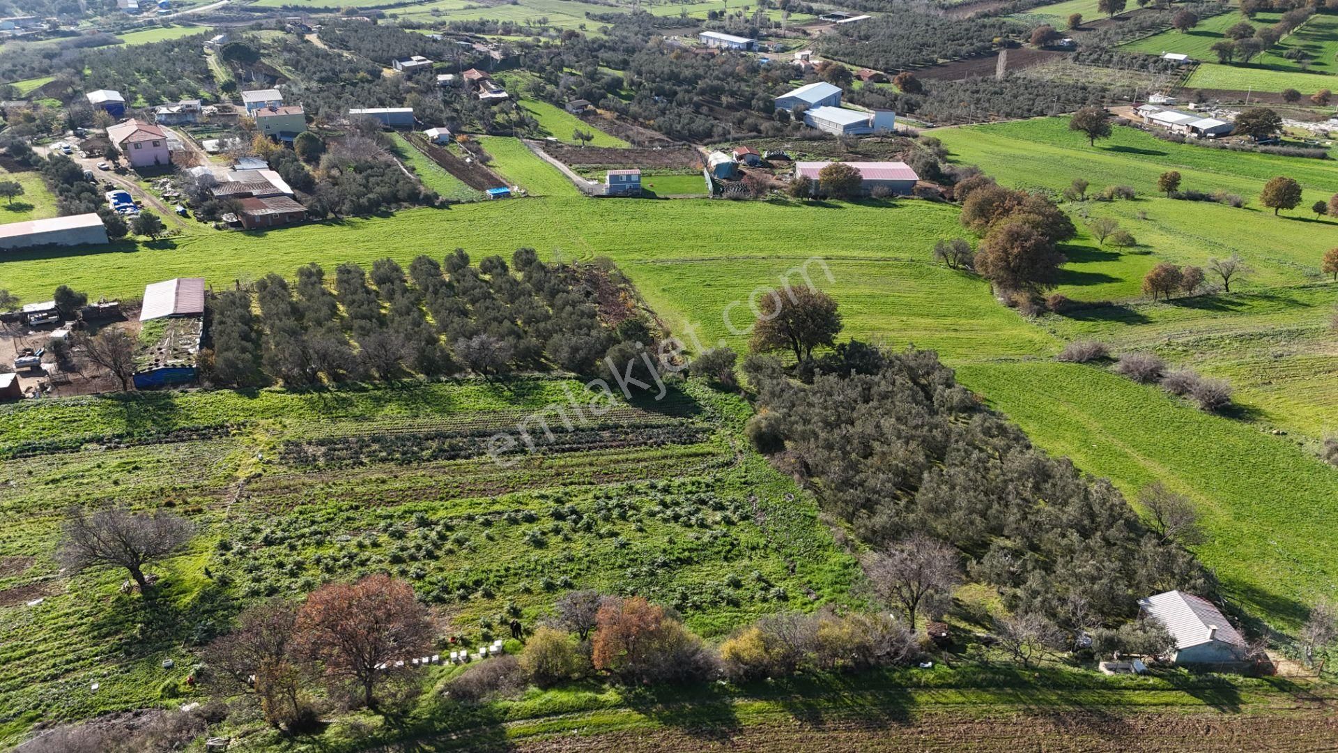 Çanakkale Karacaörende Boğaz & Deniz Manzaralı Satılık Tarla - Görsel 8