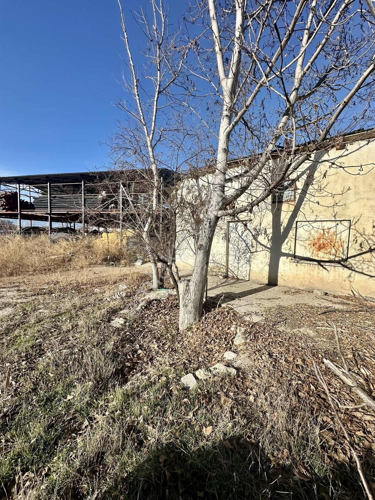 Burdur Merkez Bağlar Mahallesi Satılık Bahçe - Görsel 7