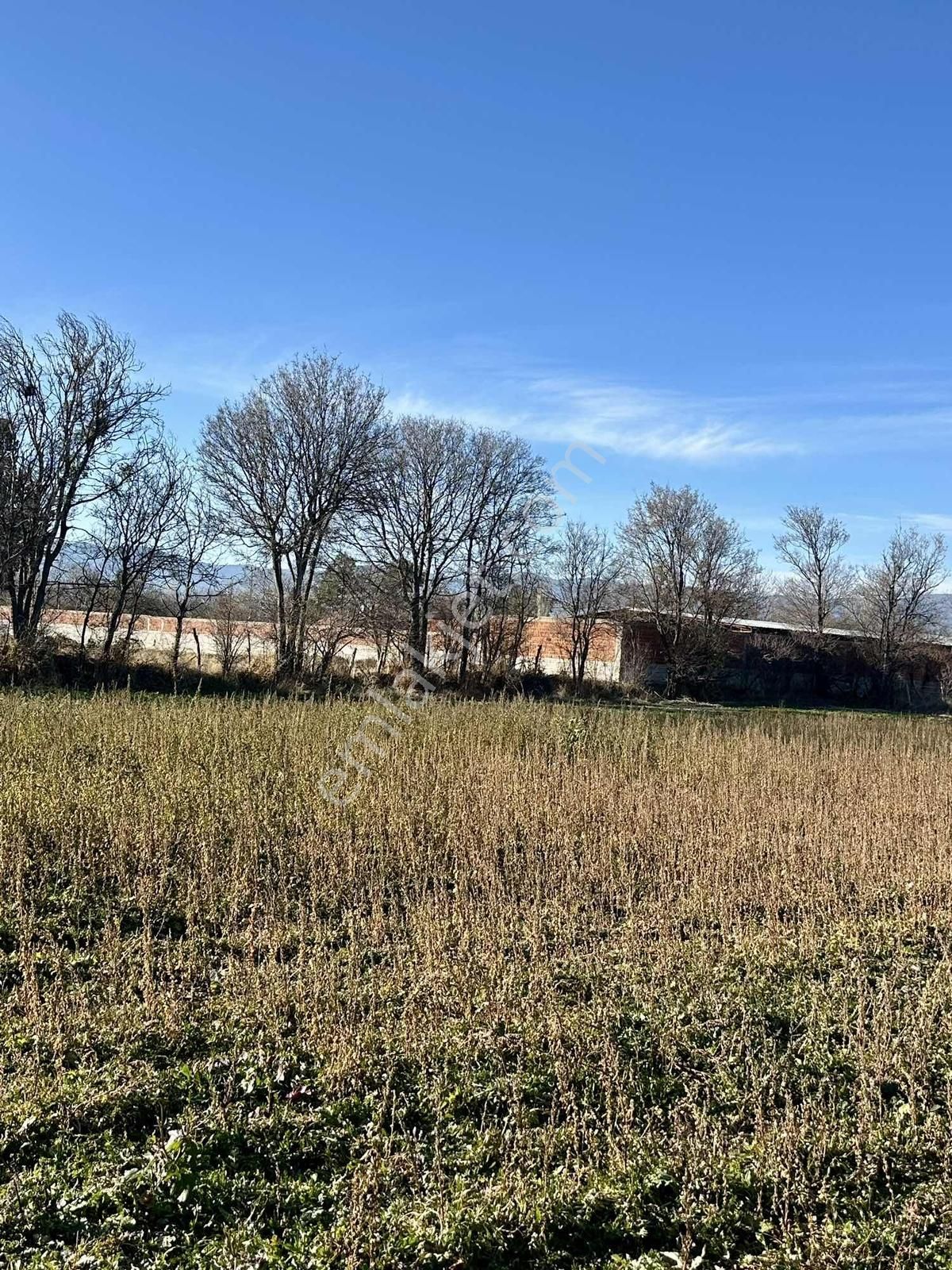 Burdur Merkez Bağlar Mahallesi Satılık Bahçe - Görsel 6