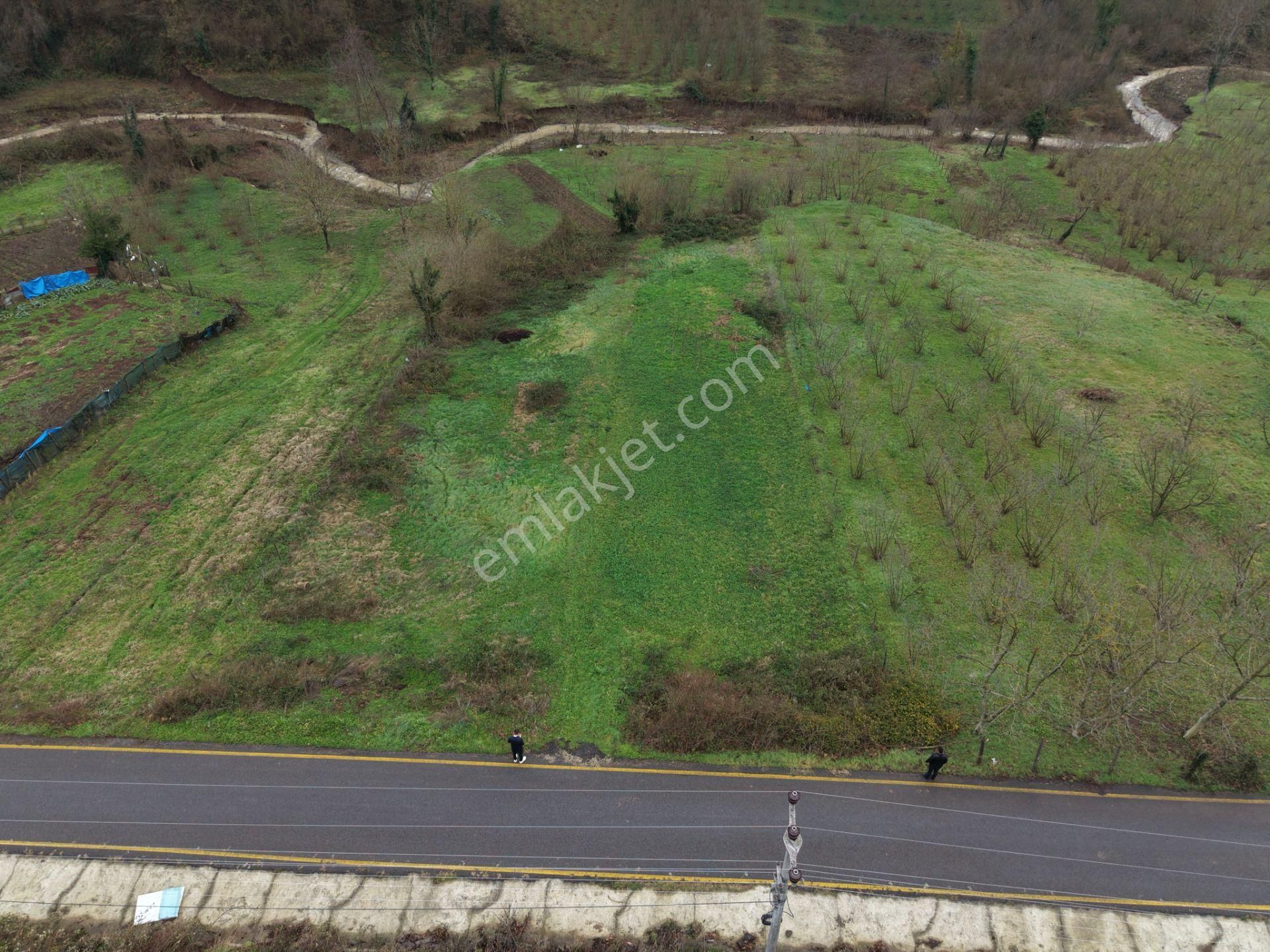 Emlakevim - Gündoğan Mah. De 900 M2 Satılık İmarlı Arsa !!! - Görsel 27