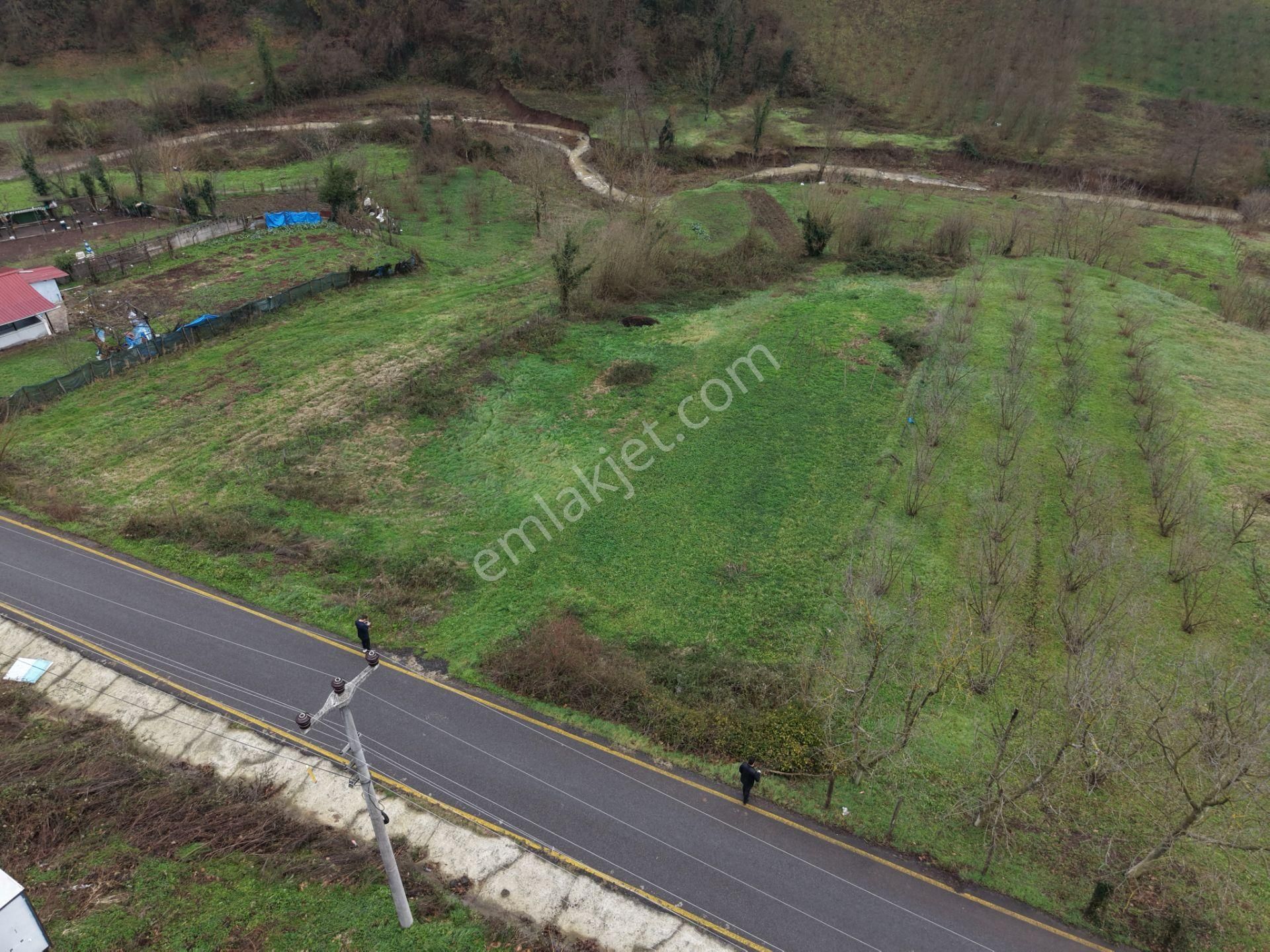 Emlakevim - Gündoğan Mah. De 900 M2 Satılık İmarlı Arsa !!! - Görsel 28