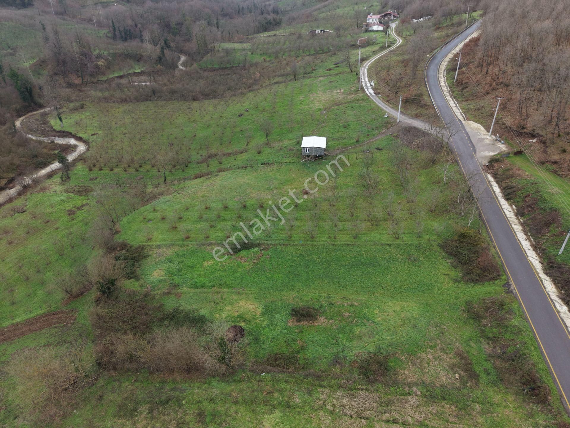 Emlakevim - Gündoğan Mah. De 900 M2 Satılık İmarlı Arsa !!! - Görsel 23