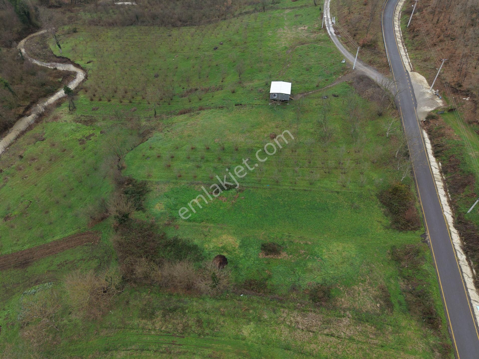 Emlakevim - Gündoğan Mah. De 900 M2 Satılık İmarlı Arsa !!! - Görsel 20