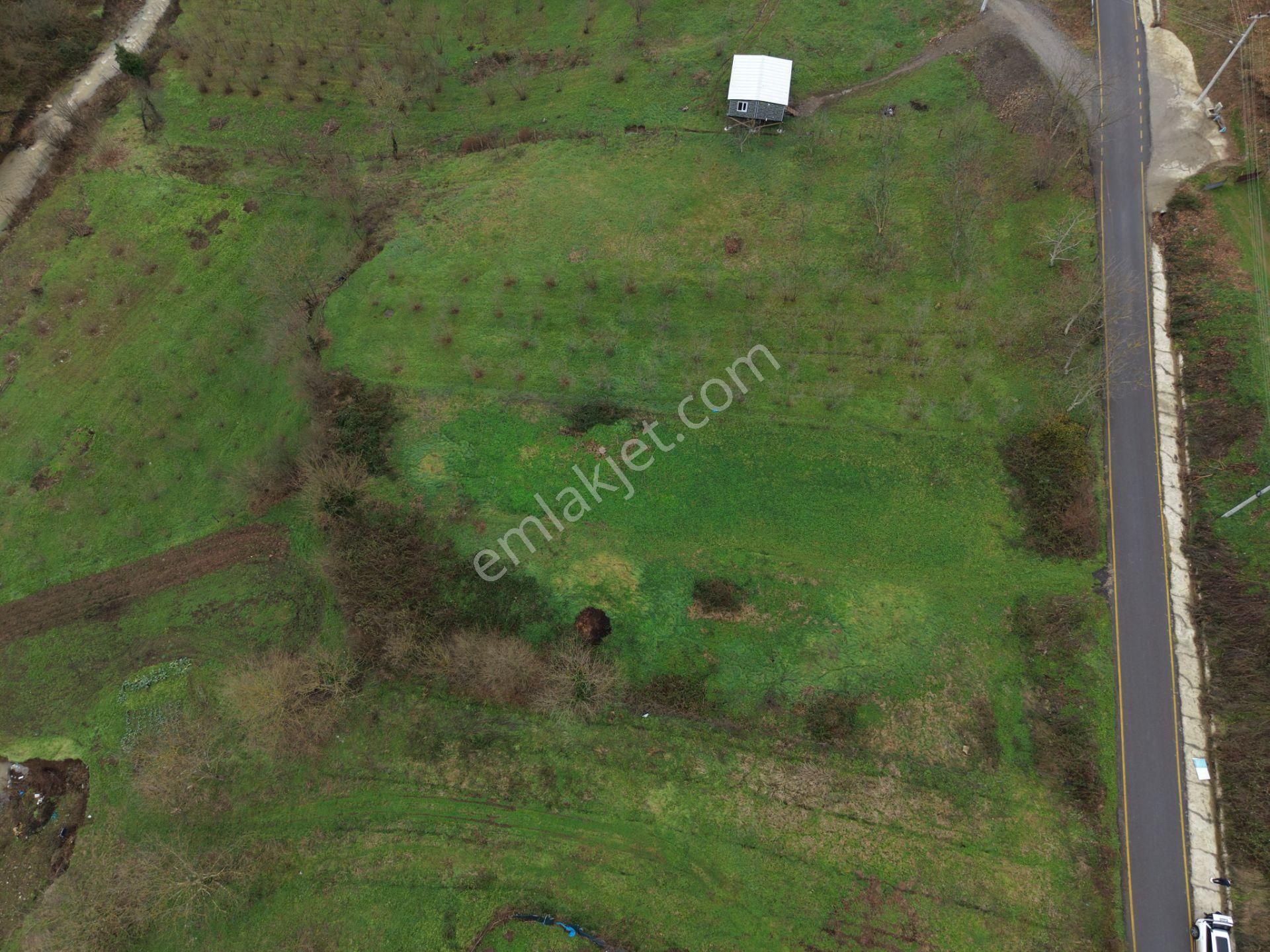 Emlakevim - Gündoğan Mah. De 900 M2 Satılık İmarlı Arsa !!! - Görsel 21