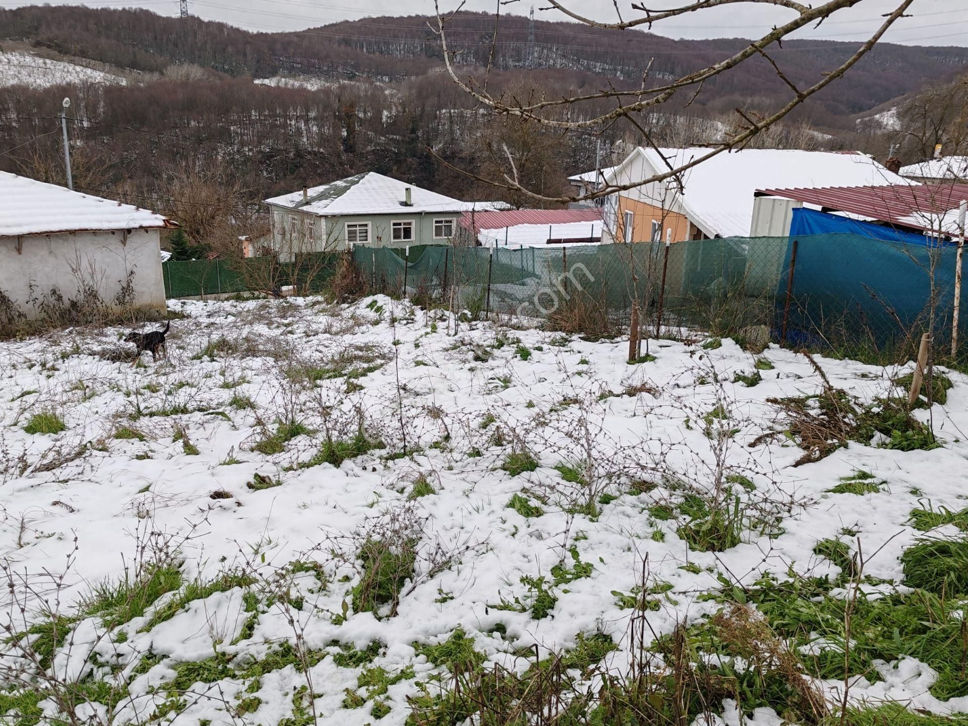 Kandıra Sarıcaali Köyünde % 40 İmarlı Köyiçi 865 M2. Arsa - Görsel 8