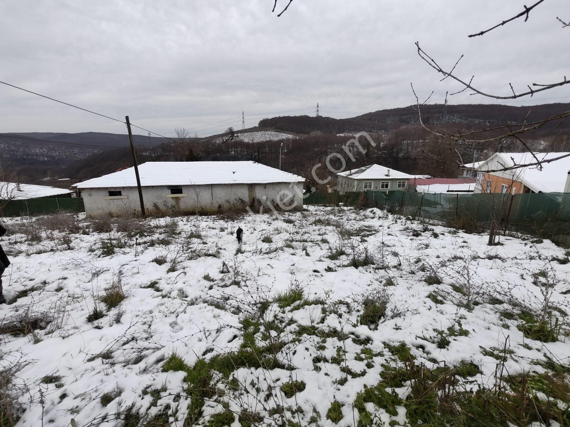 Kandıra Sarıcaali Köyünde % 40 İmarlı Köyiçi 865 M2. Arsa