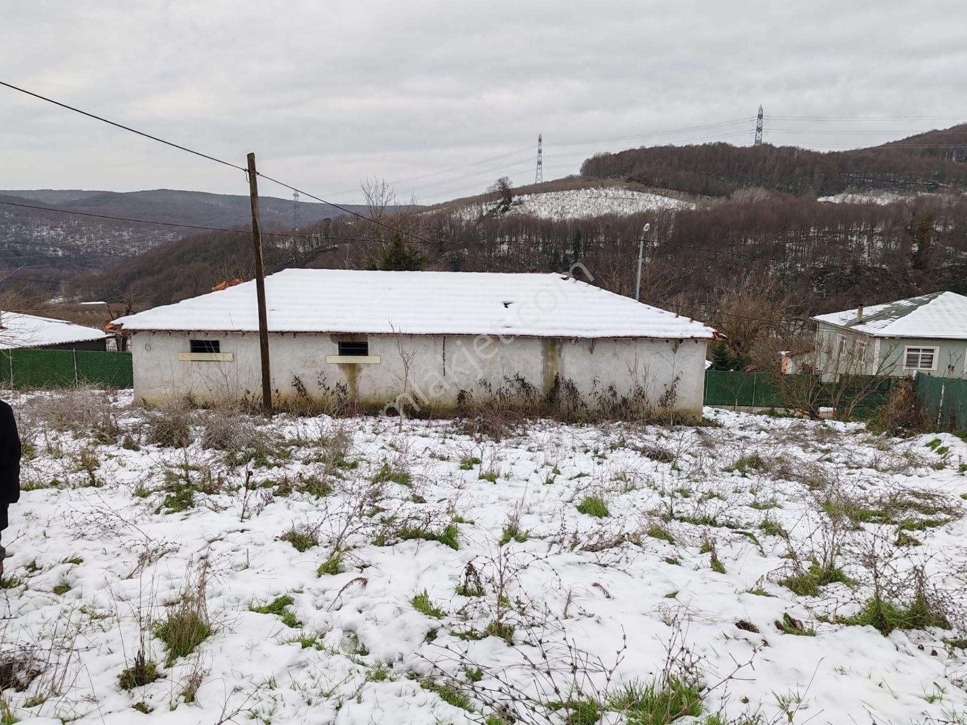 Kandıra Sarıcaali Köyünde % 40 İmarlı Köyiçi 865 M2. Arsa - Görsel 5