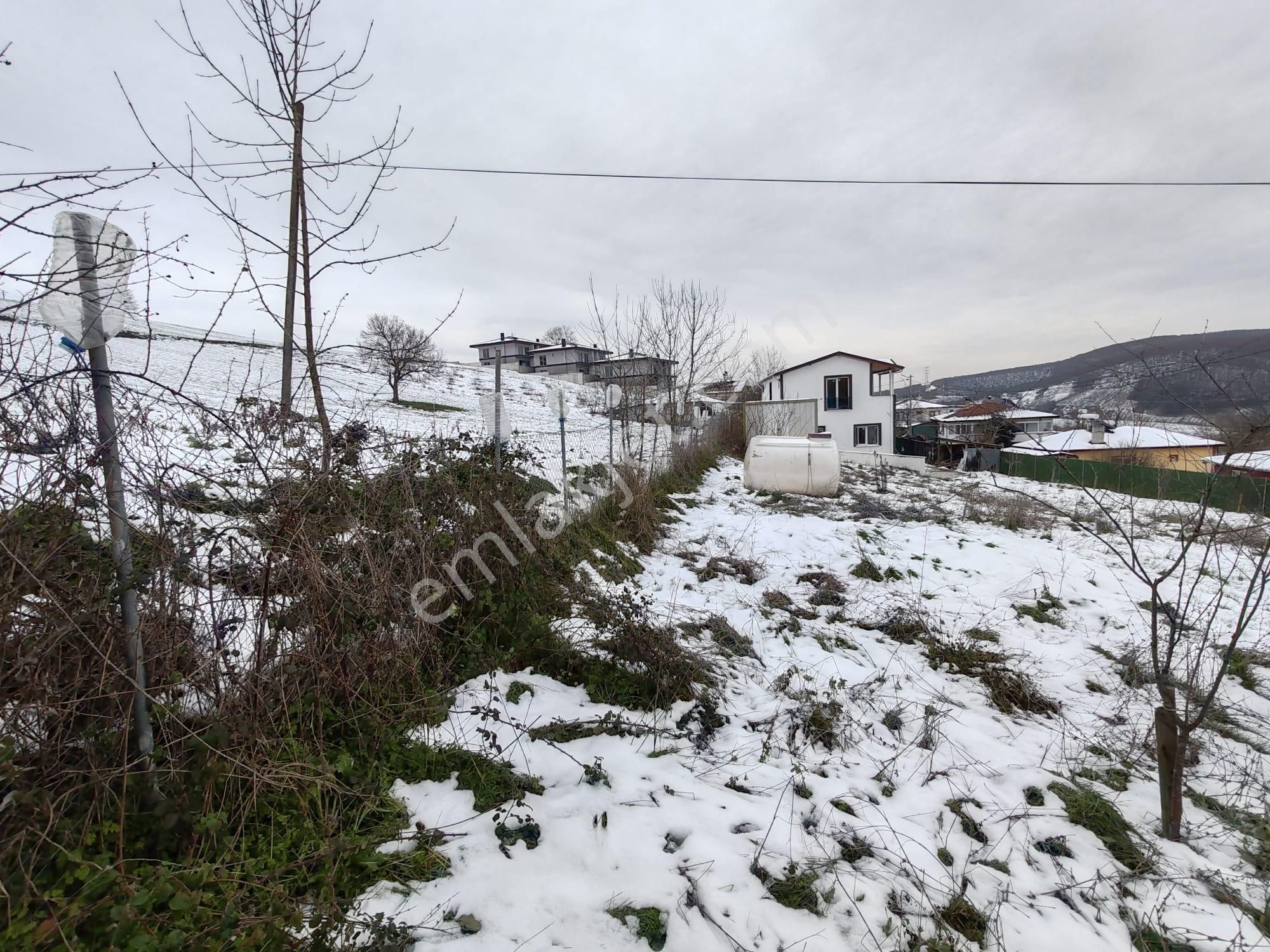 Kandıra Sarıcaali Köyünde % 40 İmarlı Köyiçi 865 M2. Arsa - Görsel 9