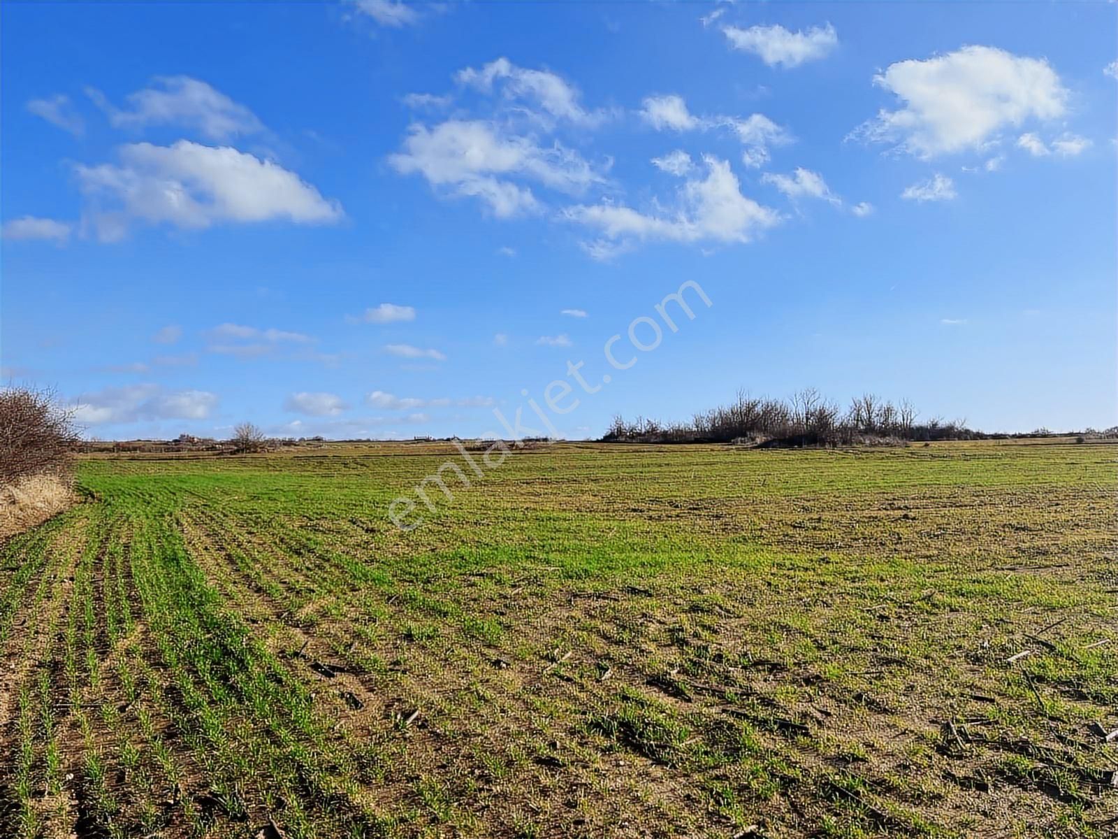 Edirne Lalapaşa Da Satılık 15 741m² Çiftlik Olacak Kupon Tarla - Görsel 12