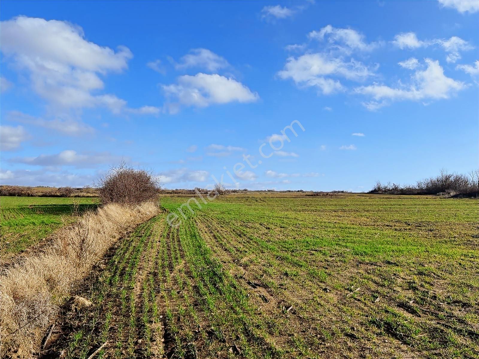 Edirne Lalapaşa Da Satılık 15 741m² Çiftlik Olacak Kupon Tarla - Görsel 3