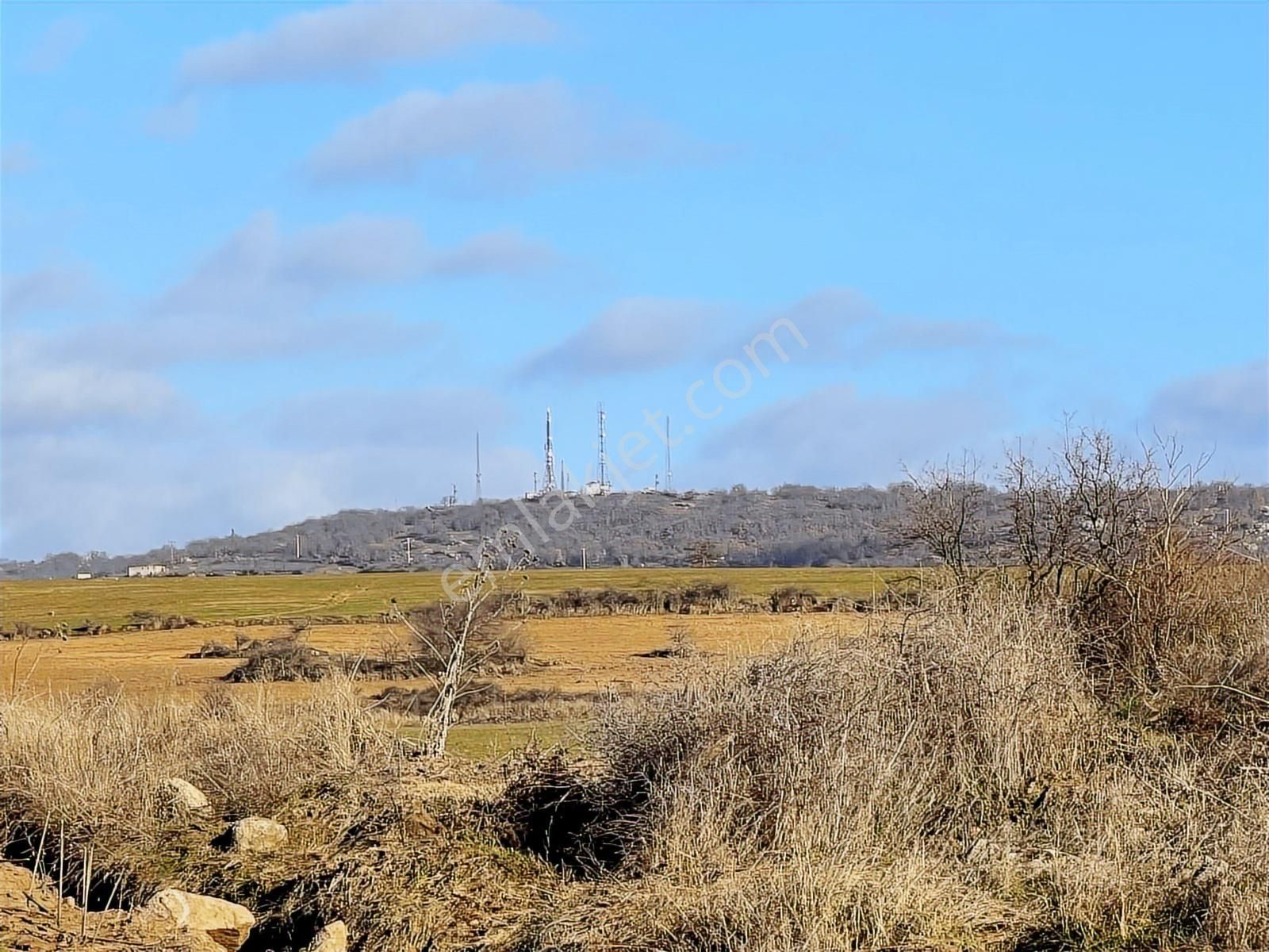 Edirne Lalapaşa Da Satılık 15 741m² Çiftlik Olacak Kupon Tarla - Görsel 8