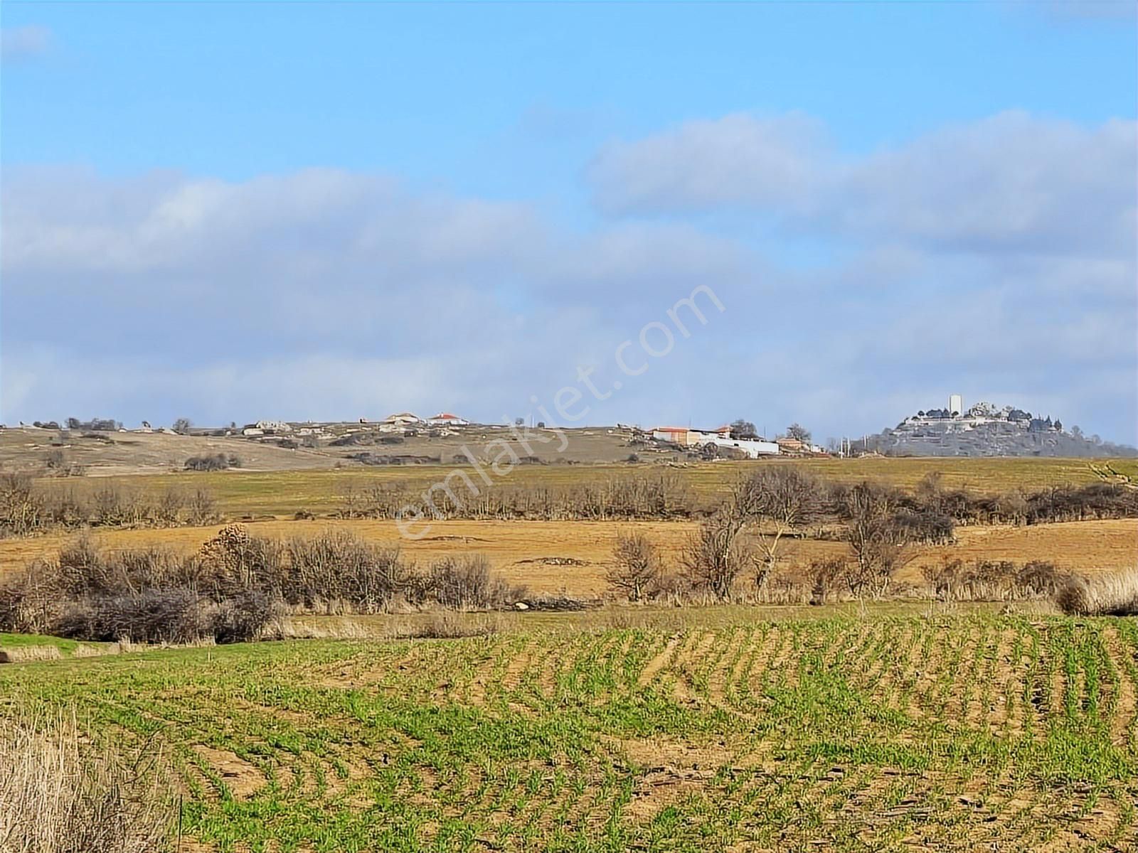Edirne Lalapaşa Da Satılık 15 741m² Çiftlik Olacak Kupon Tarla - Görsel 4