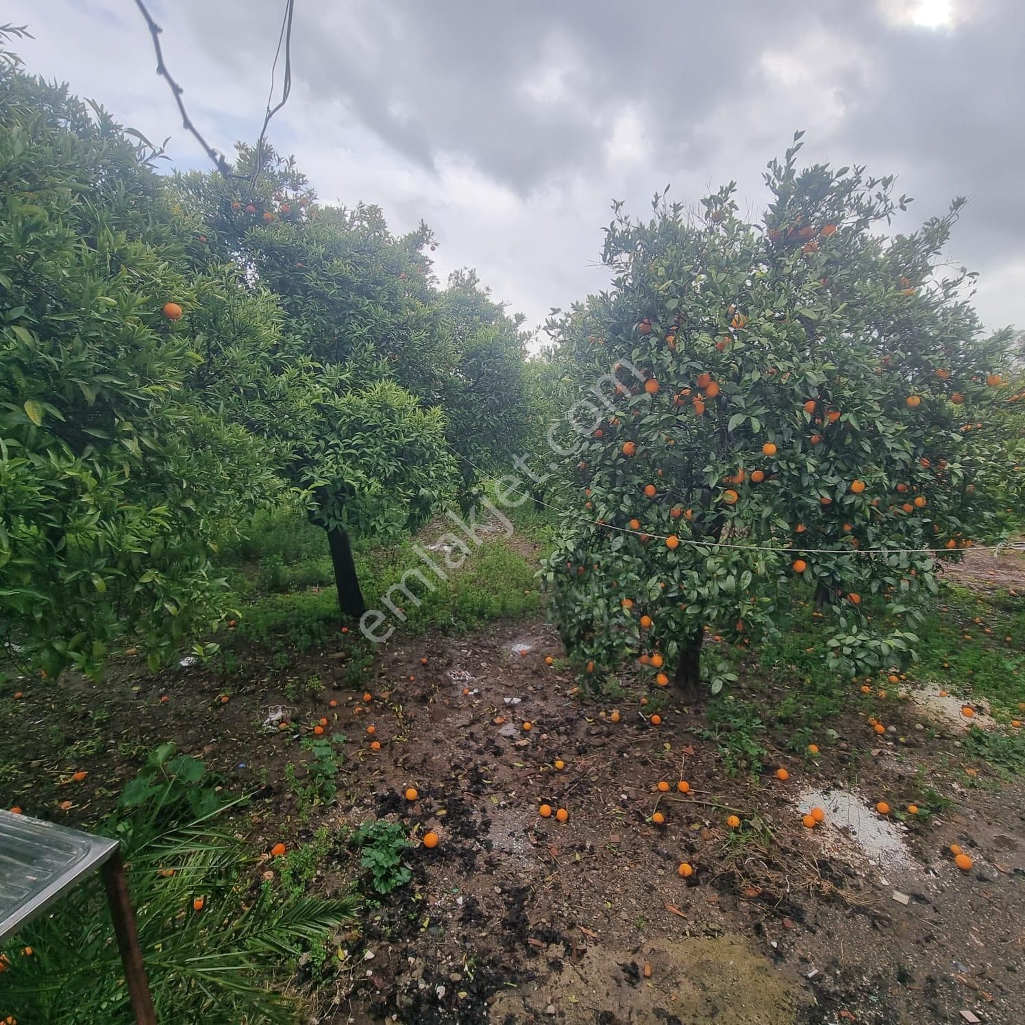 Rota'dan Yeşilköy'de Kiralık 3+1 Müstakil Ev - Görsel 21