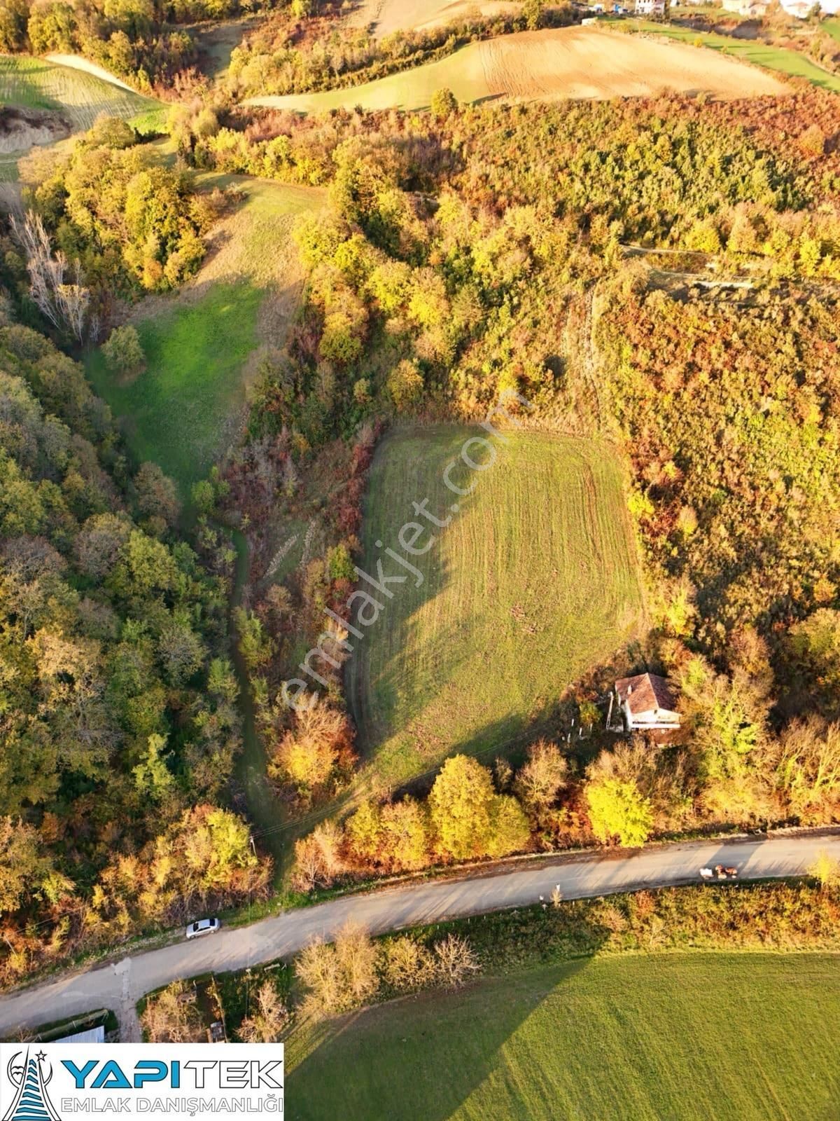 Yapıtek Gayrimenkul'den Sinop Merkez Lala Köyünde İmarlı Arsa - Görsel 7