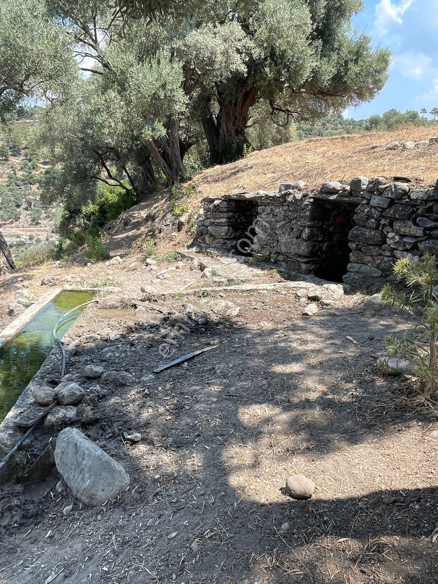 Doğadan Milas Kayabaşında Toplam 10 Dönüm 3 Parsel Arazi