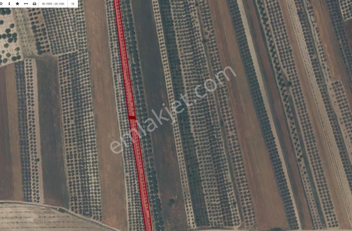 Karacabey İsmetpaşa'da 5.100 M2 Satılık Arazi - Görsel 5