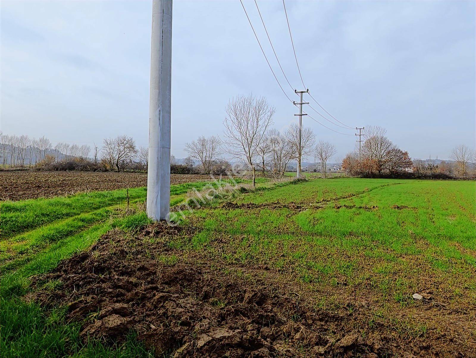 Yol Cepheli 2058 M2 Tarıma Elverişli Merkez De Satılık Tarla - Görsel 18