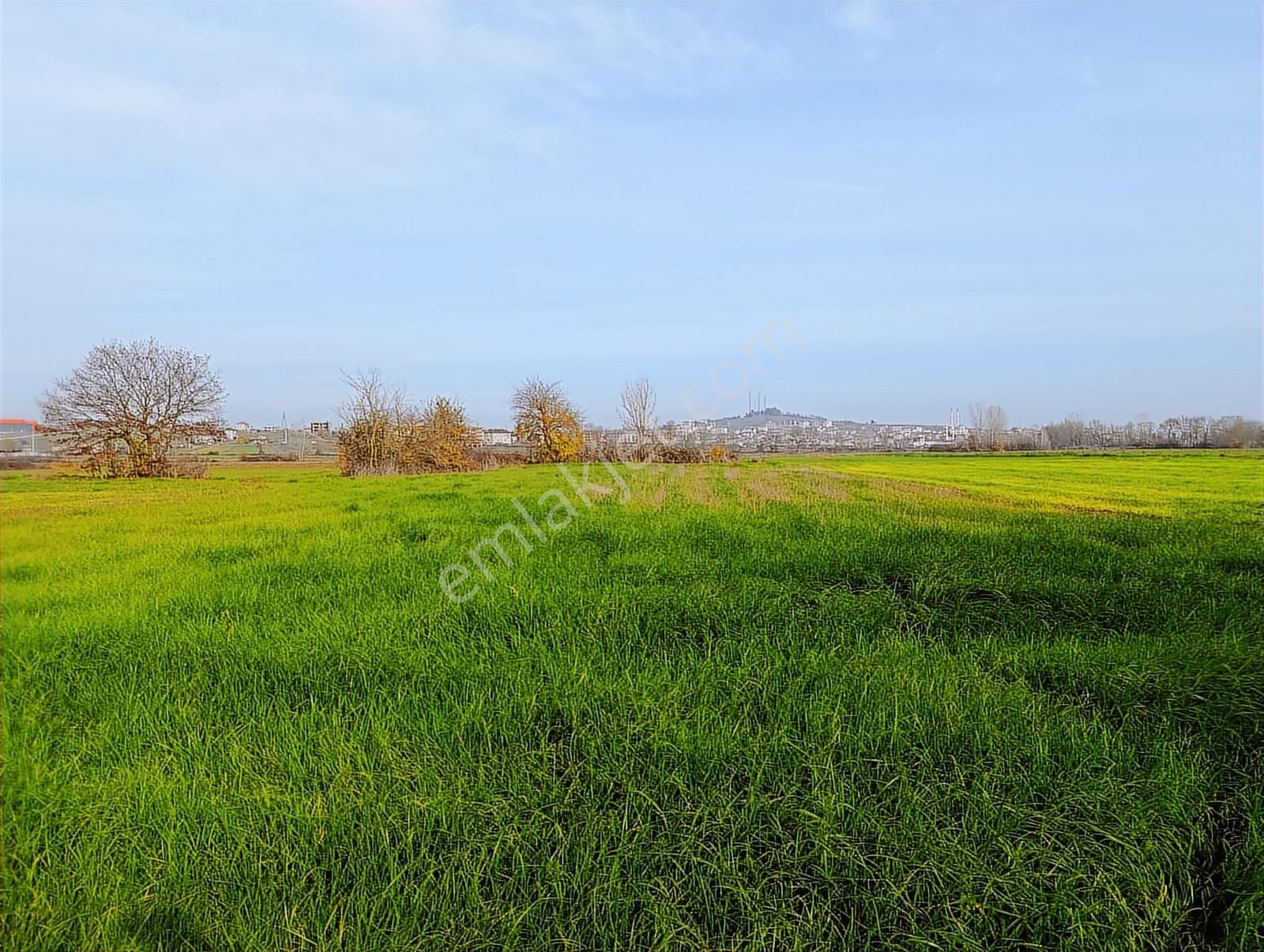 Yol Cepheli 2058 M2 Tarıma Elverişli Merkez De Satılık Tarla - Görsel 10