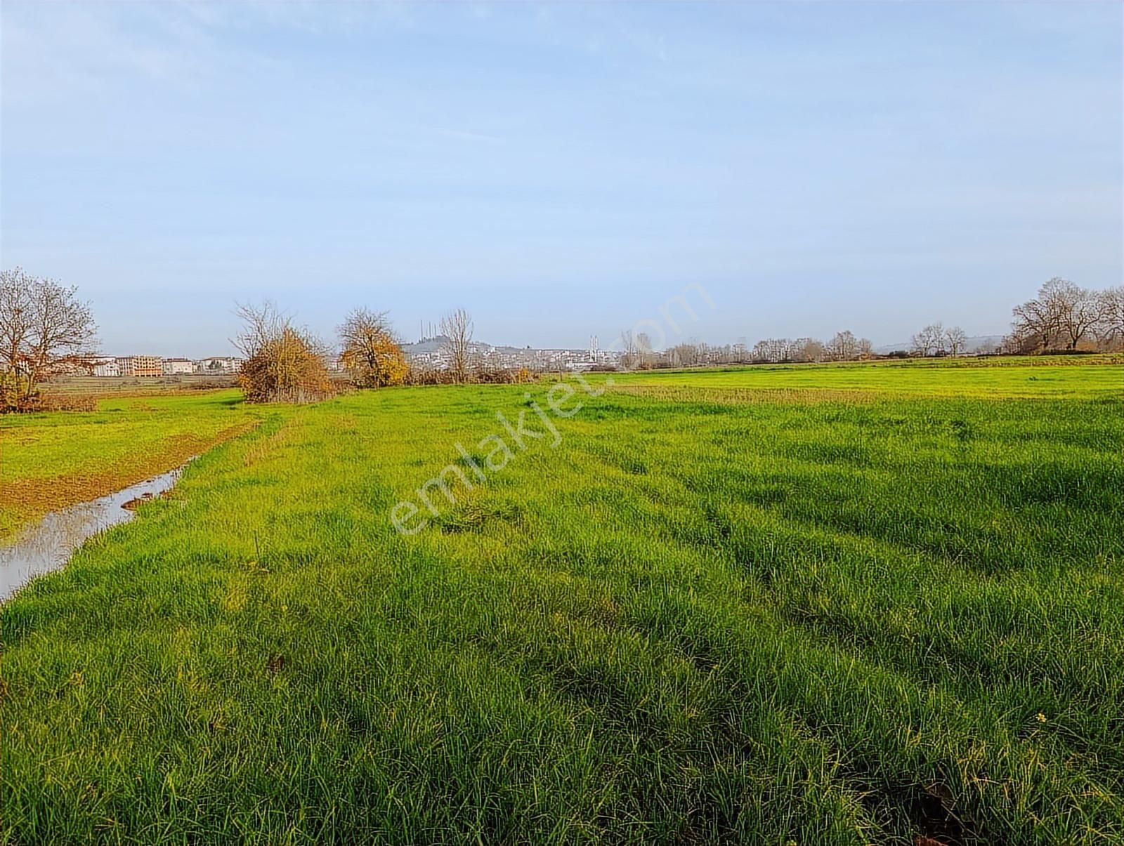 Yol Cepheli 2058 M2 Tarıma Elverişli Merkez De Satılık Tarla - Görsel 6