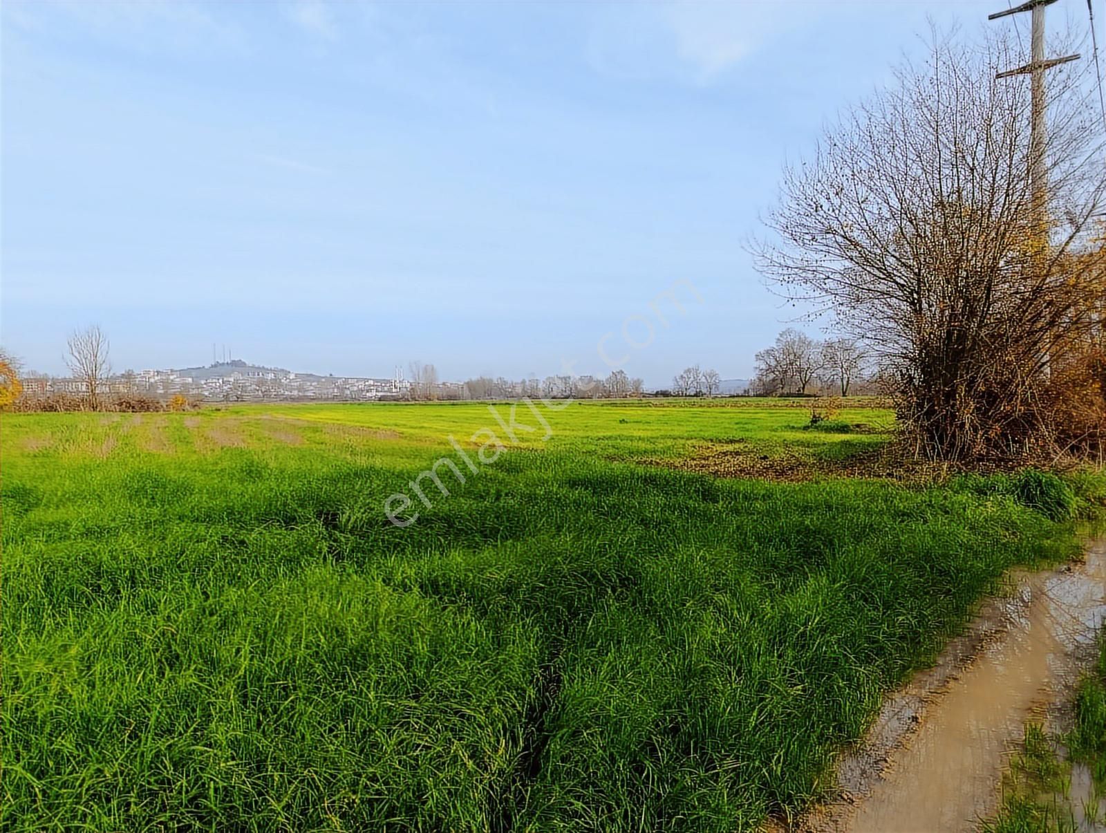 Yol Cepheli 2058 M2 Tarıma Elverişli Merkez De Satılık Tarla - Görsel 3