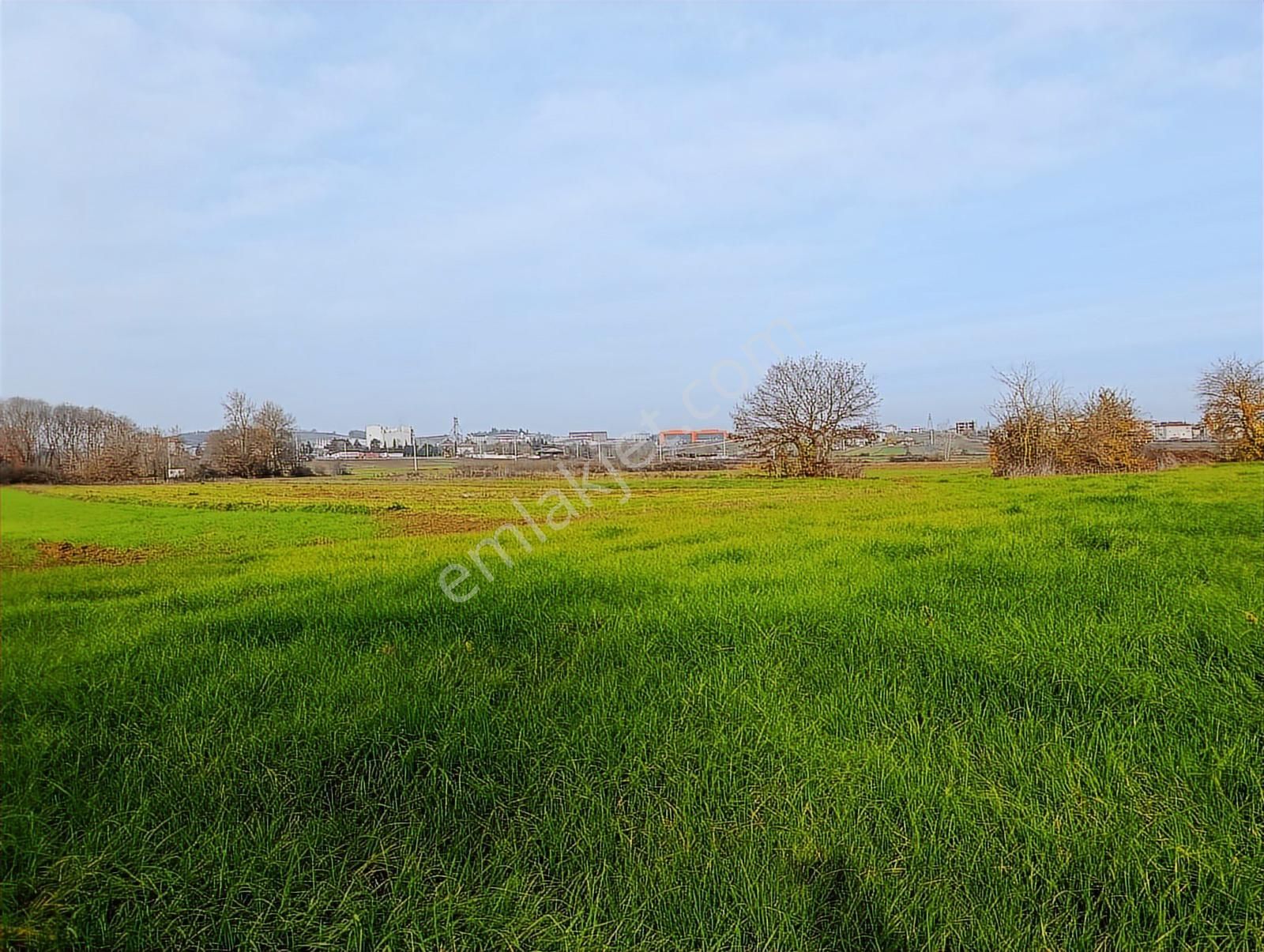 Yol Cepheli 2058 M2 Tarıma Elverişli Merkez De Satılık Tarla - Görsel 9