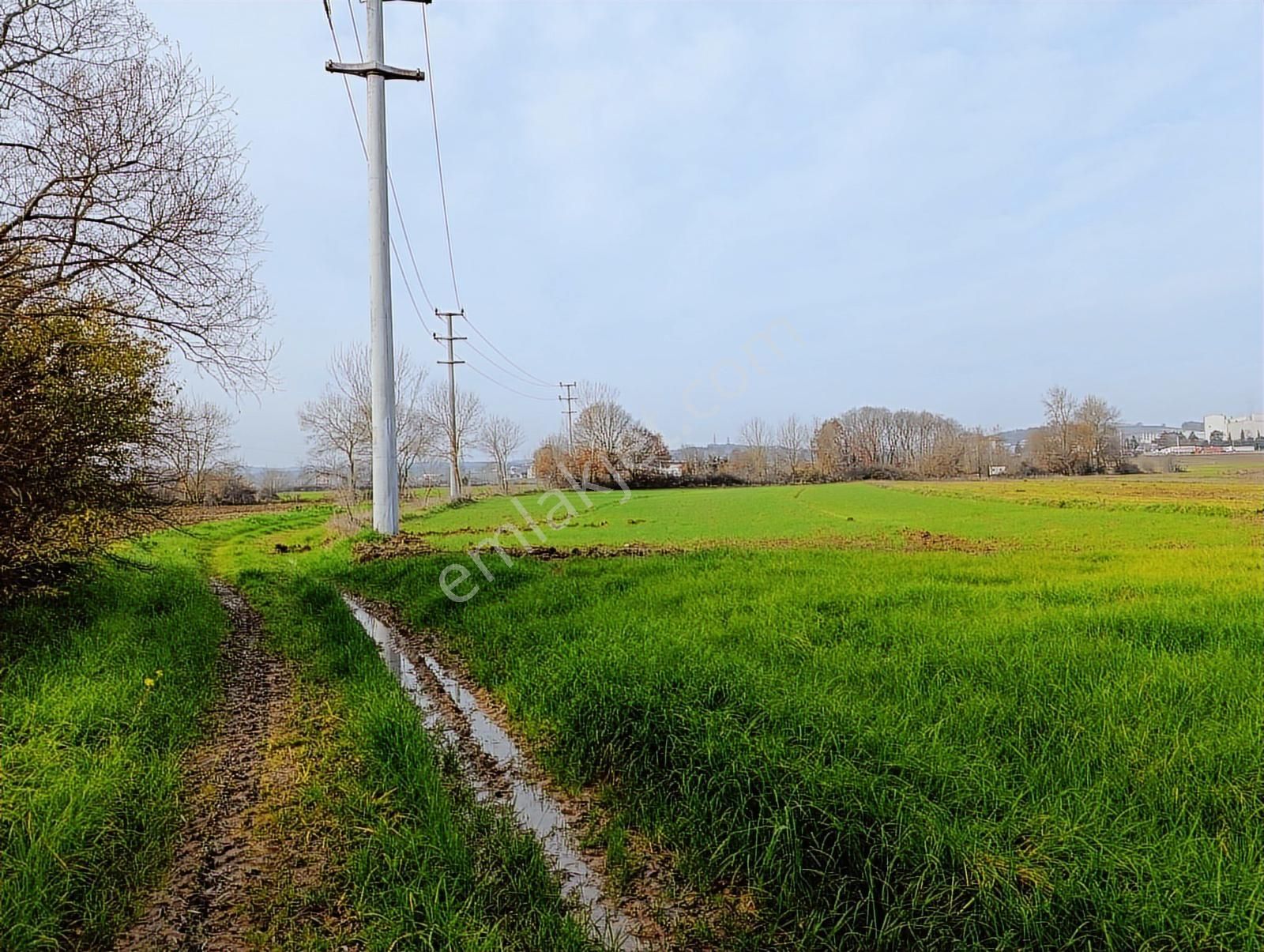 Yol Cepheli 2058 M2 Tarıma Elverişli Merkez De Satılık Tarla